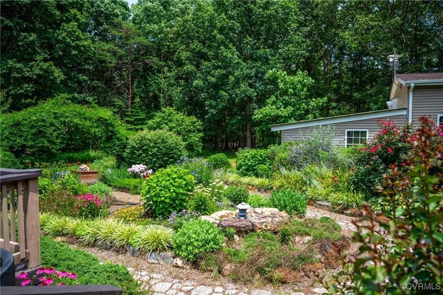 454 Elam Forest Dr, Prospect, VA 23960 - view of yard