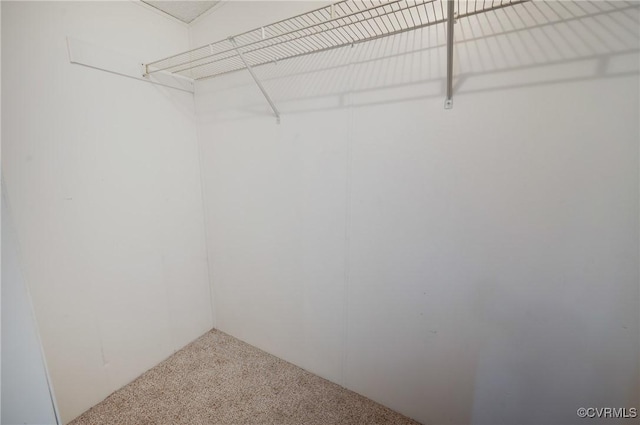 454 Elam Forest Dr, Prospect, VA 23960 - spacious closet with carpet
