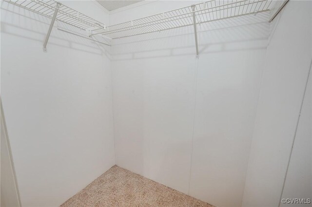 454 Elam Forest Dr, Prospect, VA 23960 - spacious closet featuring carpet