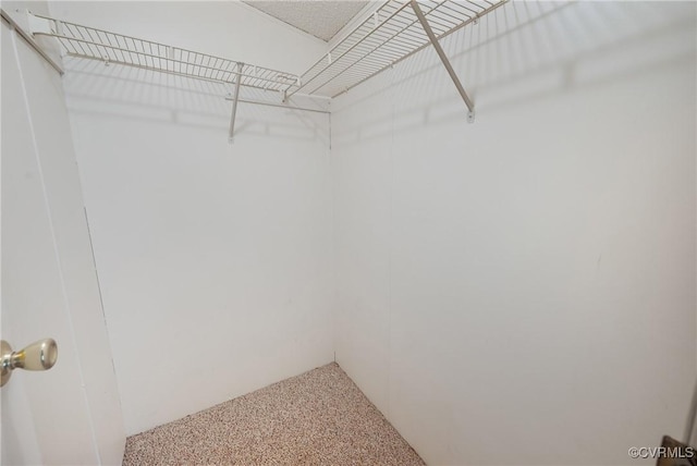 454 Elam Forest Dr, Prospect, VA 23960 - view of spacious closet