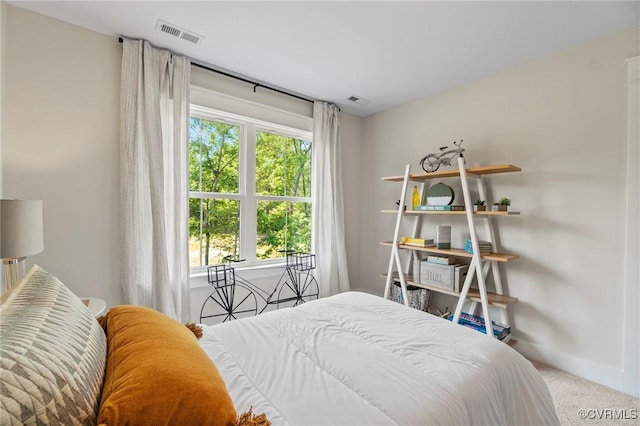 TBD Cedar Lane, Glen Allen, VA 23059 - carpeted bedroom featuring multiple windows
