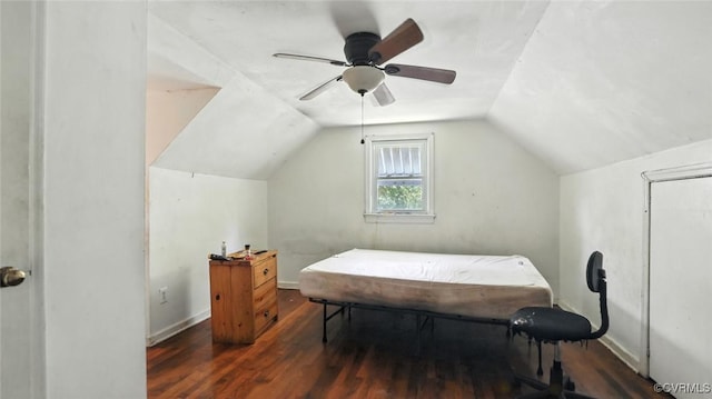 17 E 31st St, Richmond, VA 23224 - bedroom featuring wood finished floors, vaulted ceiling, and a ceiling fan