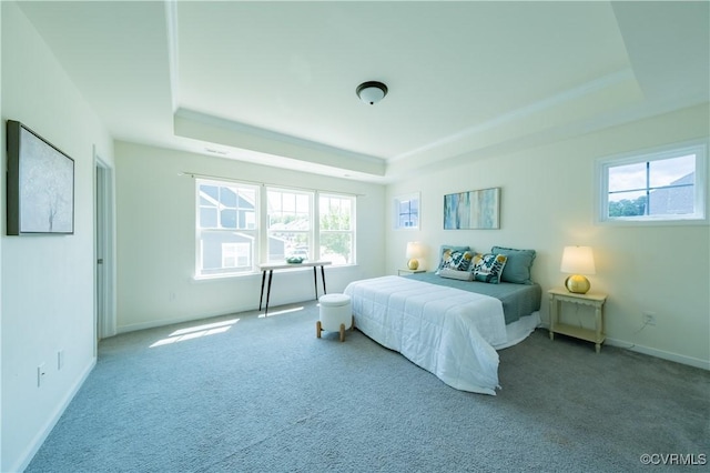 5311 Benmable Ct, Glen Allen, VA 23059 - bedroom featuring a raised ceiling, carpet, and multiple windows