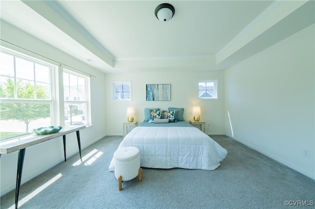 5311 Benmable Ct, Glen Allen, VA 23059 - bedroom featuring a raised ceiling and carpet flooring