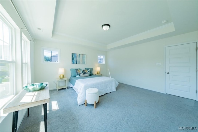 5311 Benmable Ct, Glen Allen, VA 23059 - bedroom featuring a tray ceiling and carpet