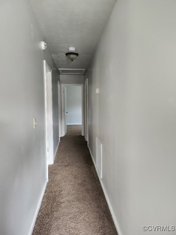 137 Virginia Ave, Petersburg, VA 23803 - hall with carpet and baseboards