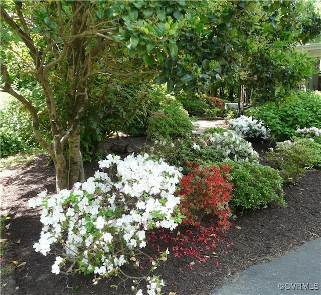 7800 Wood Rd, Henrico, VA 23229 - view of yard