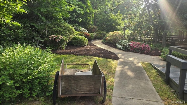 7800 Wood Rd, Henrico, VA 23229 - view of yard