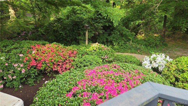 7800 Wood Rd, Henrico, VA 23229 - view of yard