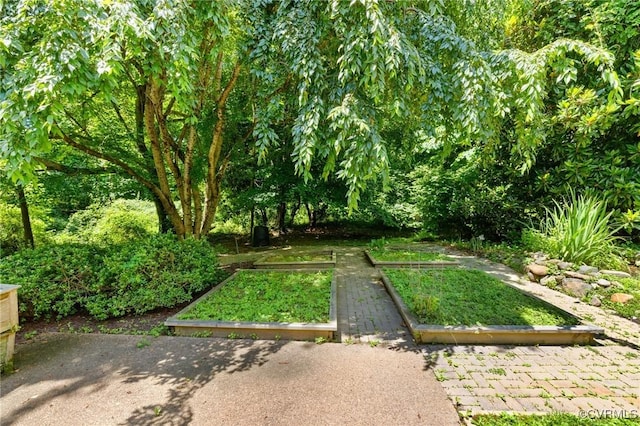 7800 Wood Rd, Henrico, VA 23229 - view of yard with a vegetable garden