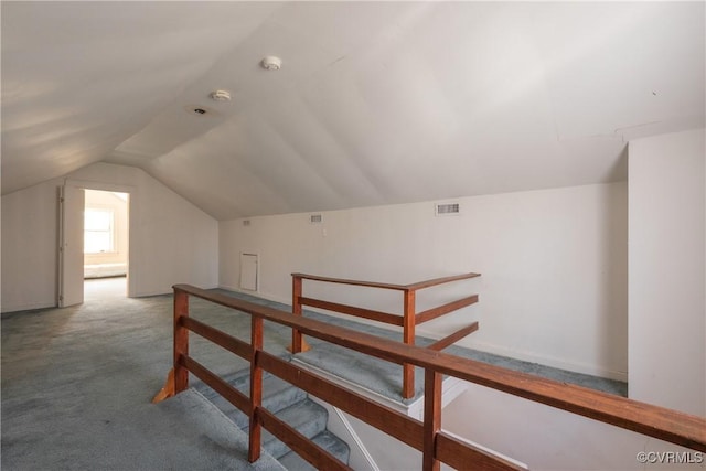 1602 Brandon Ave, Petersburg, VA 23805 - bonus room with carpet flooring and lofted ceiling