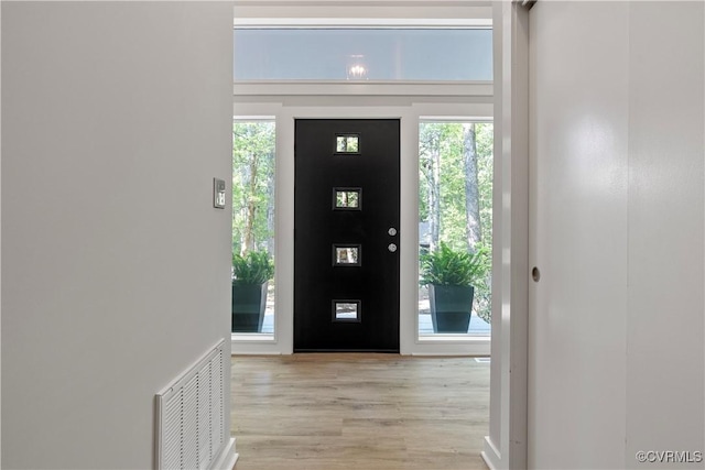 4458 Old Fox Trl, Chesterfield, VA 23112 - foyer with light wood-style floors