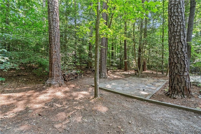 4458 Old Fox Trl, Chesterfield, VA 23112 - view of yard with a forest view