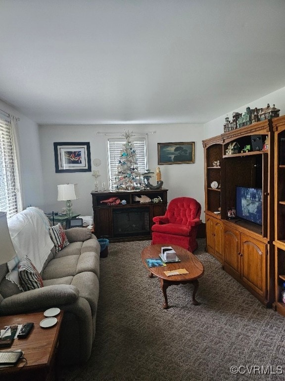 5403 Chesdin Rd, North Dinwiddie, VA 23803 - carpeted living area with plenty of natural light