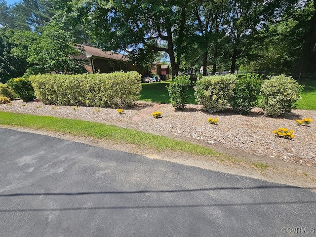 5403 Chesdin Rd, North Dinwiddie, VA 23803 - view of yard