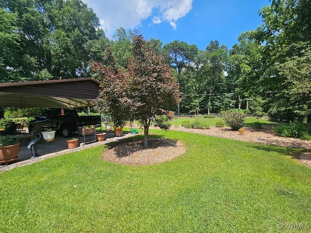 5403 Chesdin Rd, North Dinwiddie, VA 23803 - view of grassy yard