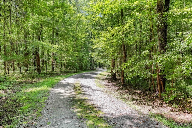 4672 Bell Rd, Powhatan, VA 23139 - view of dirt / gravel road featuring a wooded view