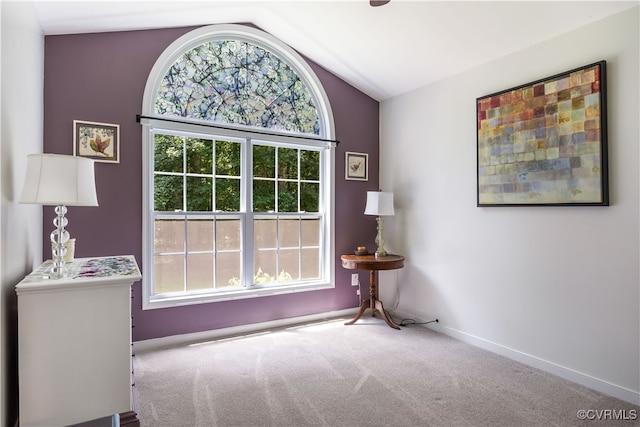 4672 Bell Rd, Powhatan, VA 23139 - unfurnished room with vaulted ceiling and carpet floors