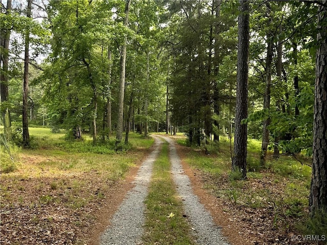 2458 Happy Hill Ln, Mechanicsville, VA 23111 - view of dirt / gravel road with a wooded view