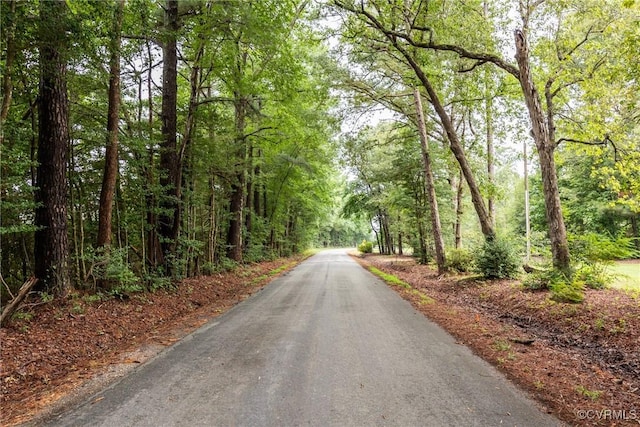 9016 Robin Rd, Disputanta, VA 23842 - photo 26