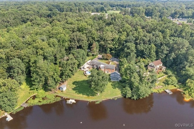 4312 Erlene Ct, Chester, VA 23831 - aerial view of property's location with a forest and a large body of water