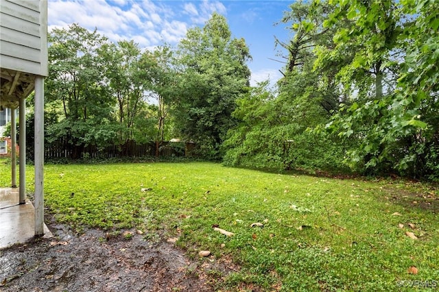 3205 Birchbrook Rd, Henrico, VA 23228 - view of grassy yard