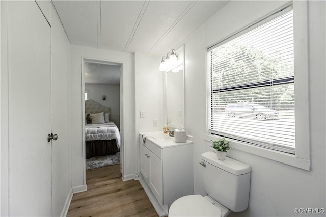 21113 River Rd, Dinwiddie, VA 23885 - bathroom with vanity, wood finished floors, and ensuite bathroom