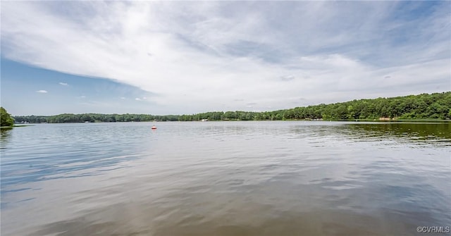21113 River Rd, Dinwiddie, VA 23885 - water view featuring a heavily wooded area
