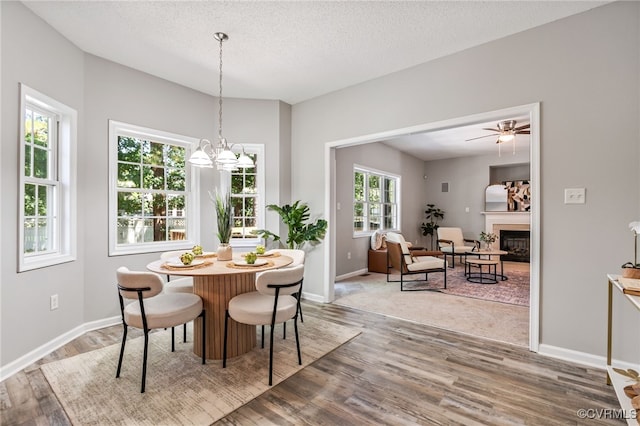 6118 Pond Grass Rd, Mechanicsville, VA 23111 - dining room with wood finished floors, a fireplace, a chandelier, a textured ceiling, and a ceiling fan