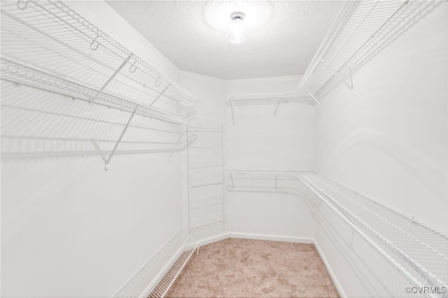 6118 Pond Grass Rd, Mechanicsville, VA 23111 - spacious closet with light carpet