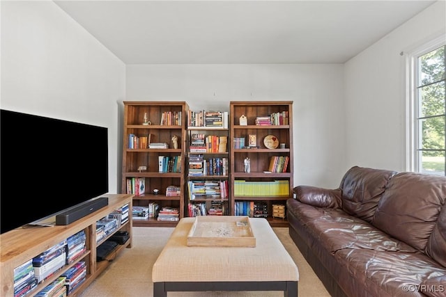 3601 Egan Rd, Chesterfield, VA 23832 - view of carpeted living room