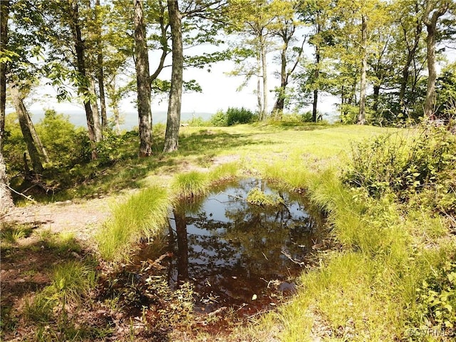00 Jack Mountain Rd, Monterey, VA 24465
