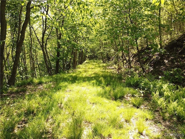 00 Jack Mountain Rd, Monterey, VA 24465