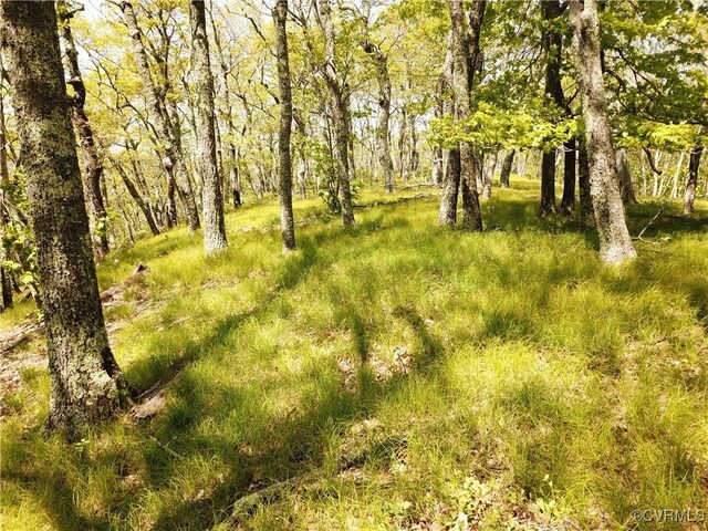 00 Jack Mountain Rd, Monterey, VA 24465