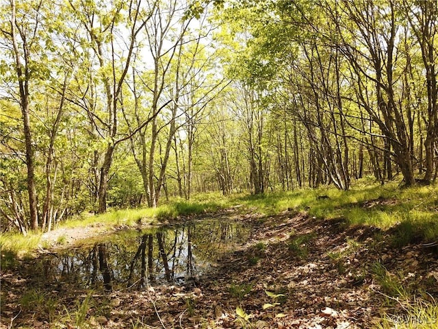 00 Jack Mountain Rd, Monterey, VA 24465