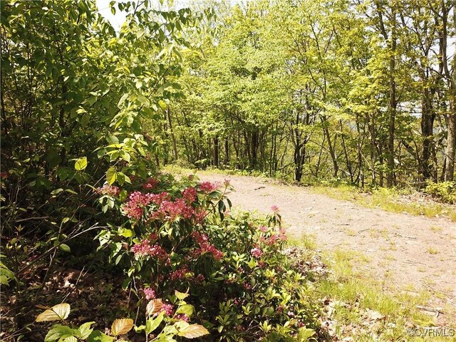 00 Jack Mountain Rd, Monterey, VA 24465