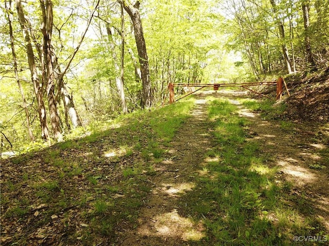00 Jack Mountain Rd, Monterey, VA 24465