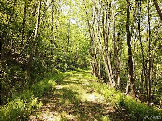 00 Jack Mountain Rd, Monterey, VA 24465