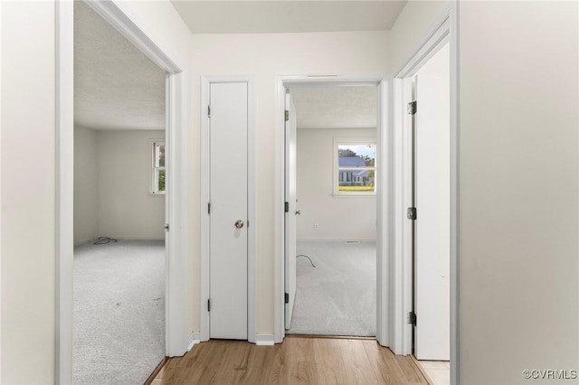 5994 Canterbury Rd, Walkerton, VA 23177 - corridor featuring healthy amount of natural light, light carpet, and light wood-type flooring