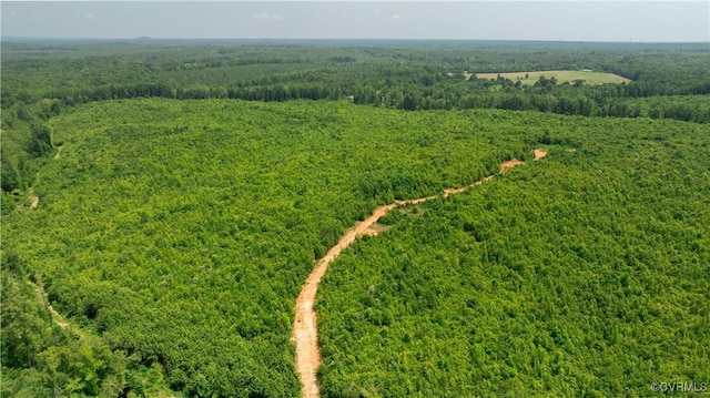 143ACRES Old Peach Orchard Ln, Meherrin, VA 23954