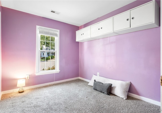 2705 Glen Point Cir, Henrico, VA 23233 - mudroom with carpet floors
