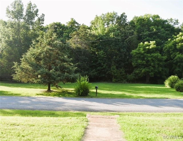 1642 Free State Rd, Meherrin, VA 23954 - view of street