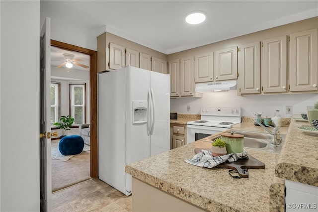 3702 Woods Ct, North Dinwiddie, VA 23803 - photo 9
