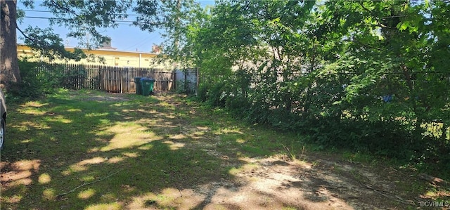 3908 Decatur St, Richmond, VA 23224 - view of yard