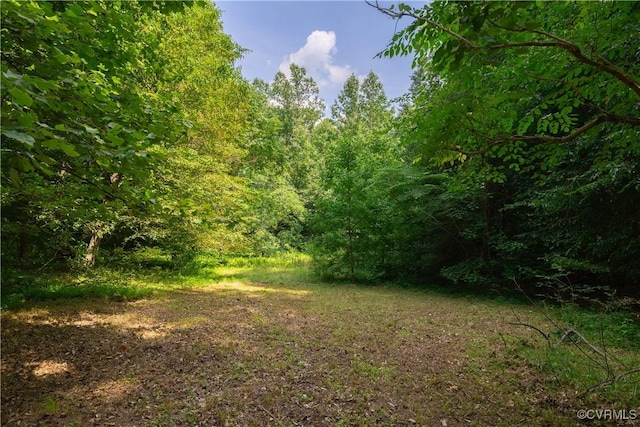 4800 Old Field Ln, Quinton, VA 23141