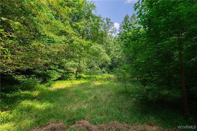 4800 Old Field Ln, Quinton, VA 23141
