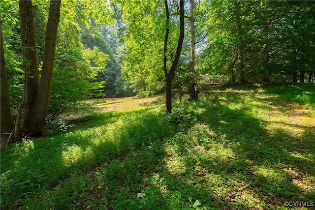 4800 Old Field Ln, Quinton, VA 23141