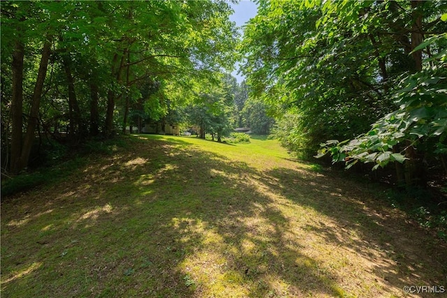 4800 Old Field Ln, Quinton, VA 23141