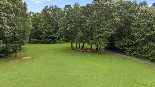 427 Valley View Dr, Aylett, VA 23009 - photo 43
