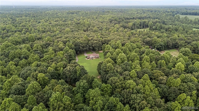 427 Valley View Dr, Aylett, VA 23009 - photo 46